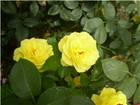 5f927eea-Picture 6216.jpg